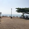 rohini2312 rohini2312